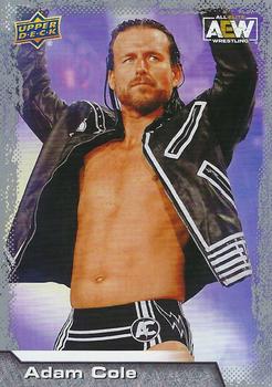 2022 Upper Deck All Elite Wrestling AEW Hobby Box